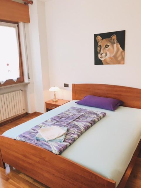 Bed&Breakfast Zattieri Ponte nell'Alpi Exterior photo